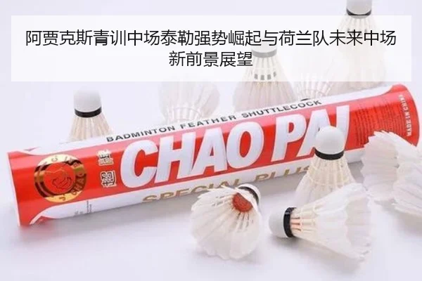 阿贾克斯青训中场泰勒强势崛起与荷兰队未来中场新前景展望